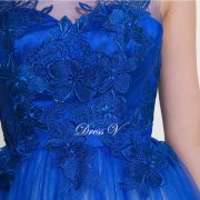 Royal blue scoop neck A-line sexy backless prom dress sleeveless appliques long floor length prom dress evening dress